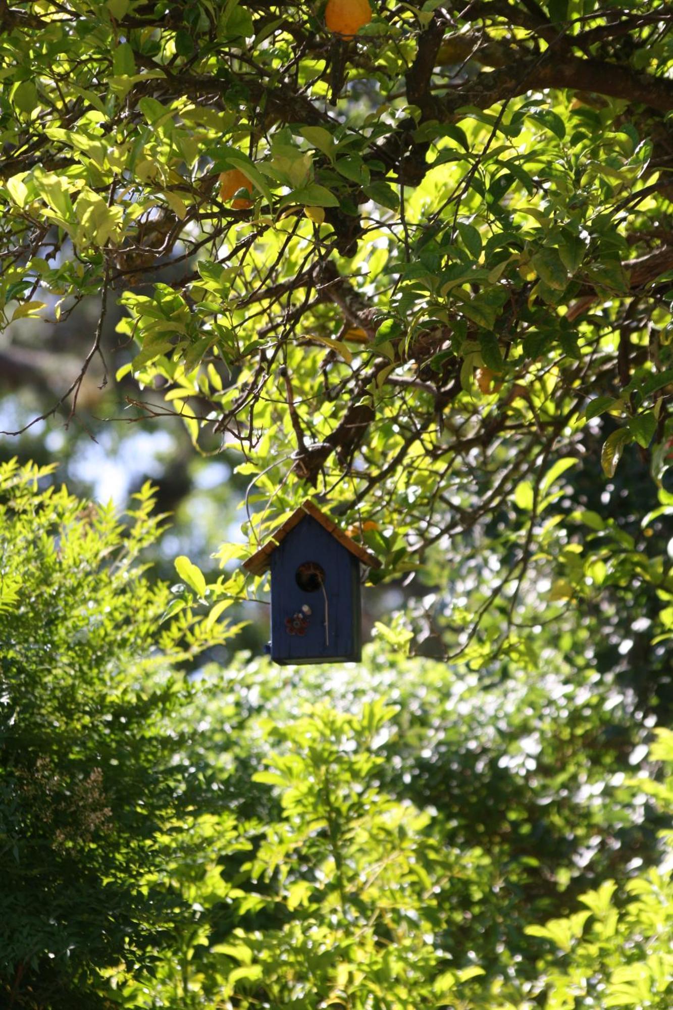 Tortelduif Cottage 斯泰伦博斯 外观 照片